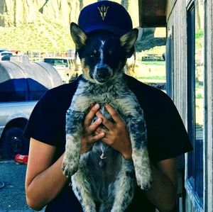 Meet your Posher, Lashaundra